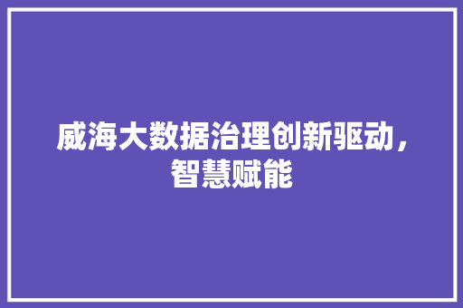 威海大数据治理创新驱动，智慧赋能  第1张