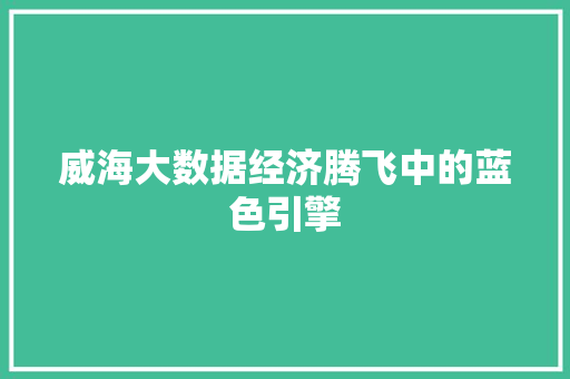 威海大数据经济腾飞中的蓝色引擎  第1张