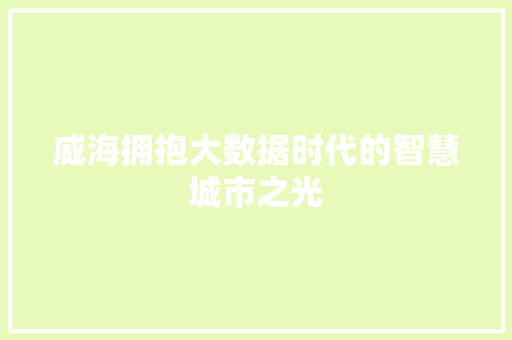 威海拥抱大数据时代的智慧城市之光  第1张