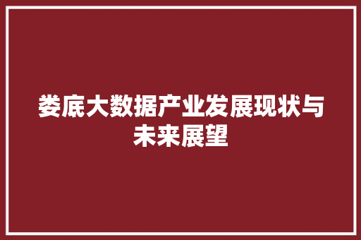 娄底大数据产业发展现状与未来展望