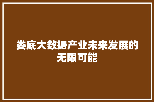 娄底大数据产业未来发展的无限可能