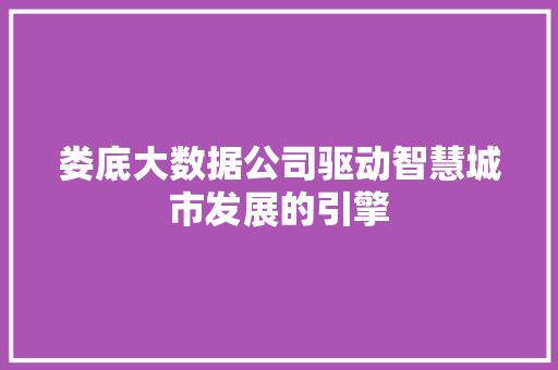 娄底大数据公司驱动智慧城市发展的引擎
