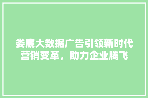 娄底大数据广告引领新时代营销变革，助力企业腾飞