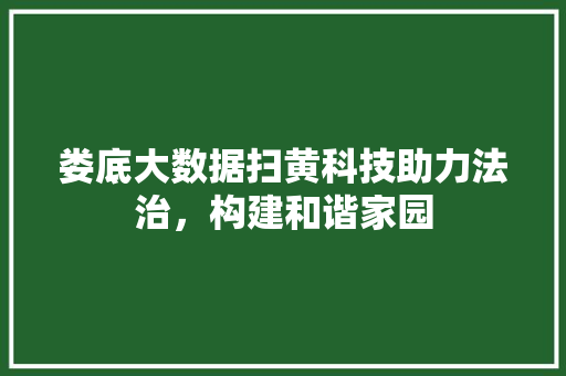 娄底大数据扫黄科技助力法治，构建和谐家园