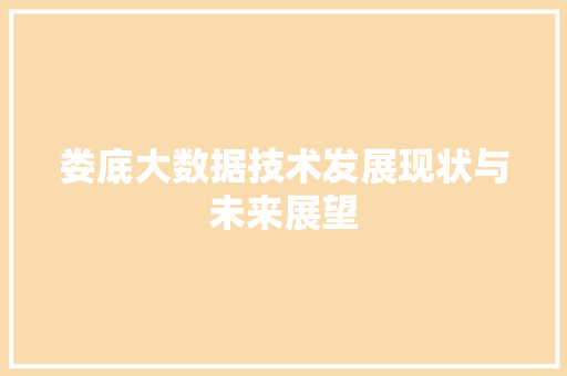 娄底大数据技术发展现状与未来展望