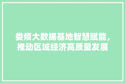 娄烦大数据基地智慧赋能，推动区域经济高质量发展