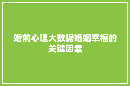 婚前心理大数据婚姻幸福的关键因素