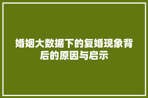 婚姻大数据下的复婚现象背后的原因与启示
