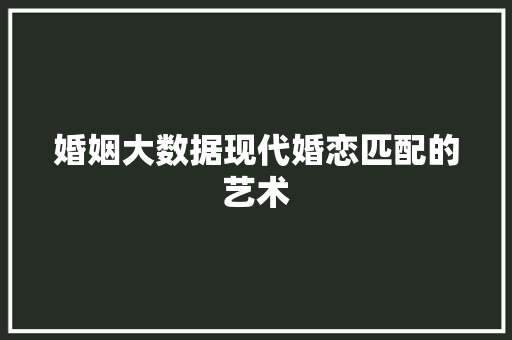 婚姻大数据现代婚恋匹配的艺术  第1张