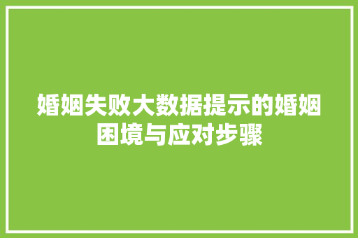 婚姻失败大数据提示的婚姻困境与应对步骤