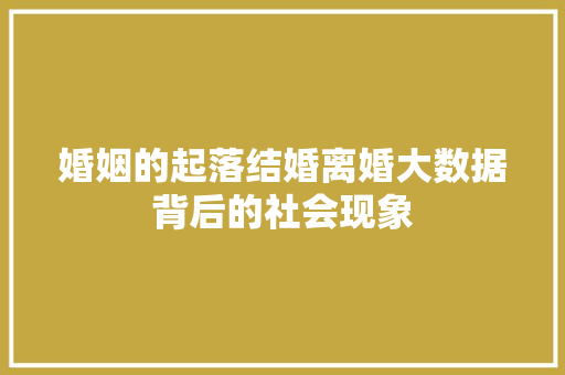 婚姻的起落结婚离婚大数据背后的社会现象