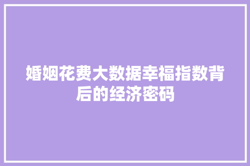 婚姻花费大数据幸福指数背后的经济密码