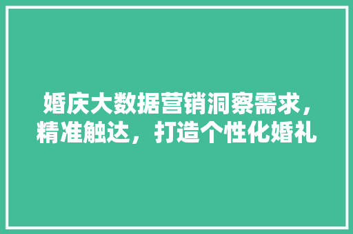 婚庆大数据营销洞察需求，精准触达，打造个性化婚礼