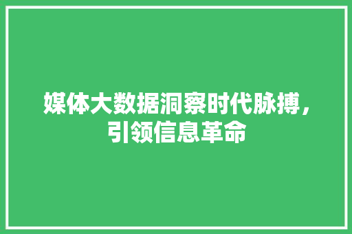媒体大数据洞察时代脉搏，引领信息革命  第1张