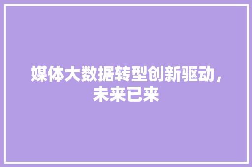 媒体大数据转型创新驱动，未来已来  第1张