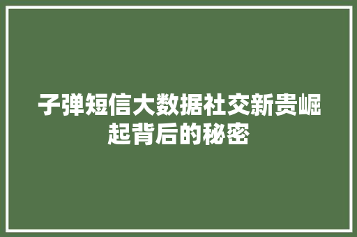 子弹短信大数据社交新贵崛起背后的秘密