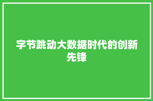 字节跳动大数据时代的创新先锋