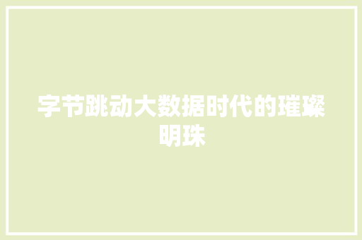 字节跳动大数据时代的璀璨明珠