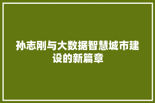孙志刚与大数据智慧城市建设的新篇章