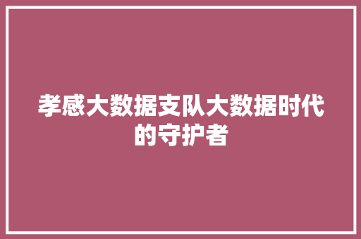 孝感大数据支队大数据时代的守护者
