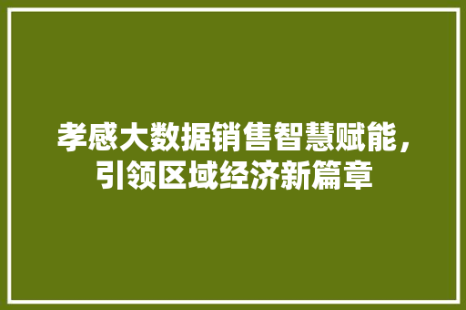 孝感大数据销售智慧赋能，引领区域经济新篇章