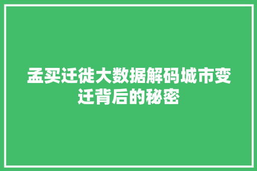 孟买迁徙大数据解码城市变迁背后的秘密