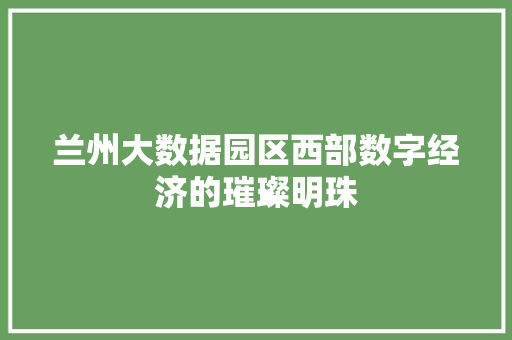 兰州大数据园区西部数字经济的璀璨明珠  第1张