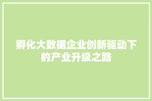 孵化大数据企业创新驱动下的产业升级之路  第1张