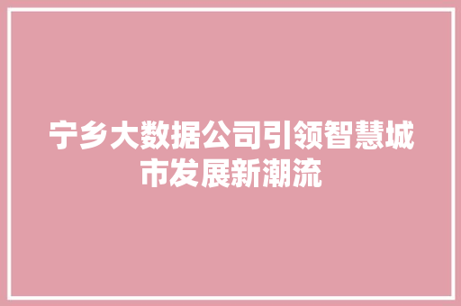 宁乡大数据公司引领智慧城市发展新潮流