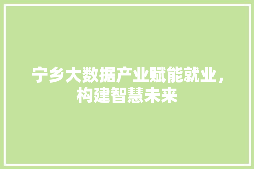 宁乡大数据产业赋能就业，构建智慧未来