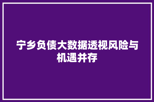 宁乡负债大数据透视风险与机遇并存