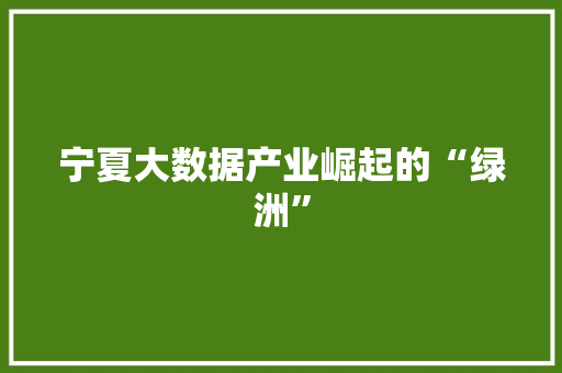 宁夏大数据产业崛起的“绿洲”  第1张