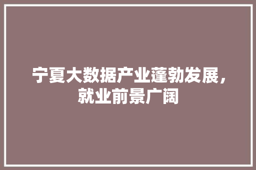 宁夏大数据产业蓬勃发展，就业前景广阔  第1张
