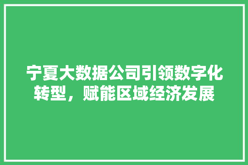 宁夏大数据公司引领数字化转型，赋能区域经济发展  第1张