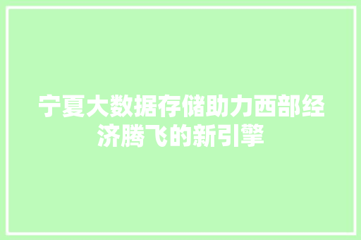 宁夏大数据存储助力西部经济腾飞的新引擎  第1张