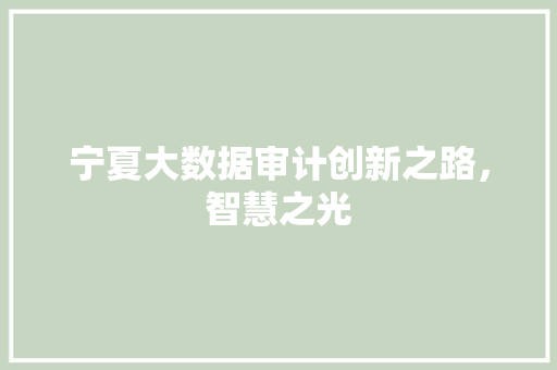 宁夏大数据审计创新之路，智慧之光  第1张