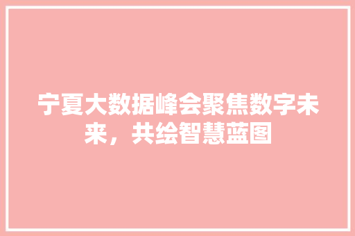 宁夏大数据峰会聚焦数字未来，共绘智慧蓝图  第1张