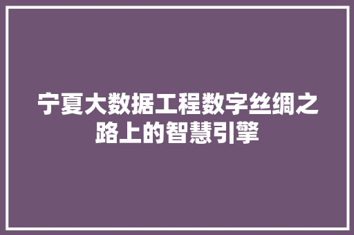 宁夏大数据工程数字丝绸之路上的智慧引擎  第1张