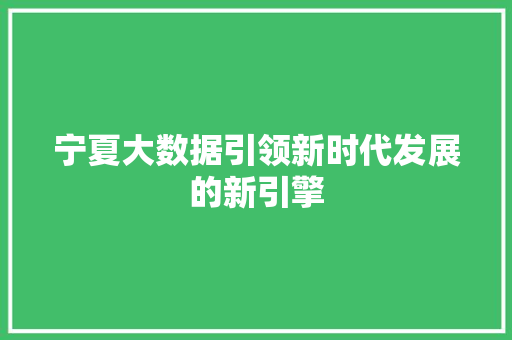 宁夏大数据引领新时代发展的新引擎  第1张