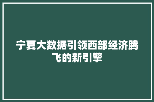 宁夏大数据引领西部经济腾飞的新引擎  第1张