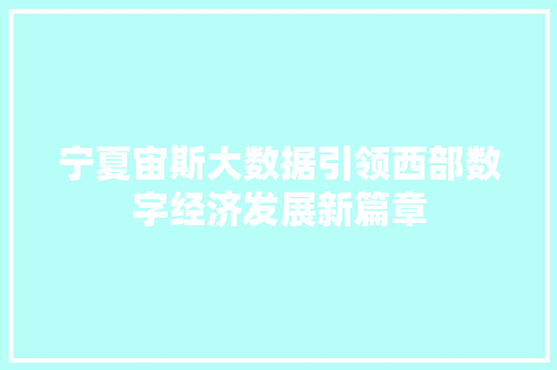 宁夏宙斯大数据引领西部数字经济发展新篇章