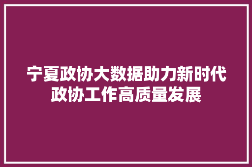 宁夏政协大数据助力新时代政协工作高质量发展
