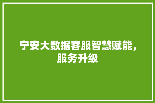 宁安大数据客服智慧赋能，服务升级