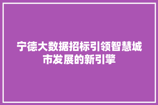 宁德大数据招标引领智慧城市发展的新引擎