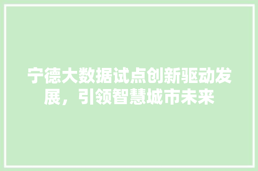 宁德大数据试点创新驱动发展，引领智慧城市未来