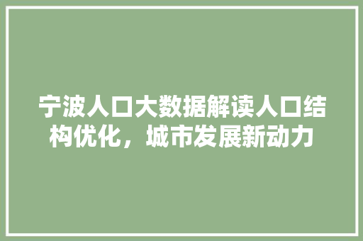 宁波人口大数据解读人口结构优化，城市发展新动力  第1张
