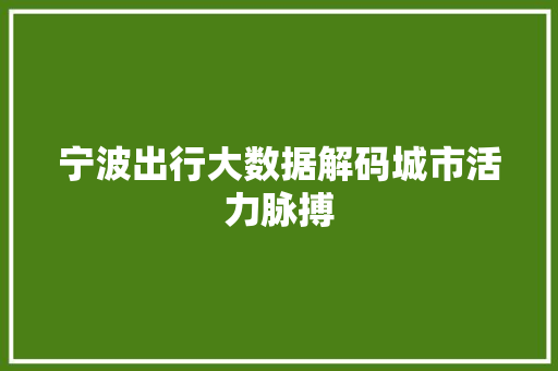 宁波出行大数据解码城市活力脉搏  第1张