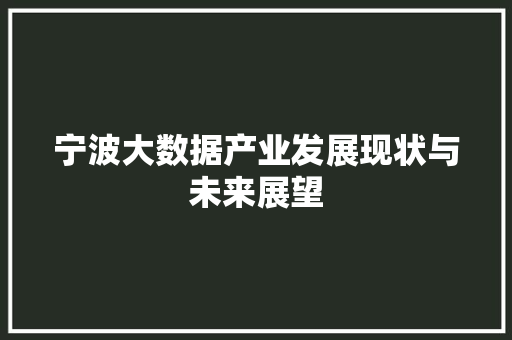 宁波大数据产业发展现状与未来展望  第1张
