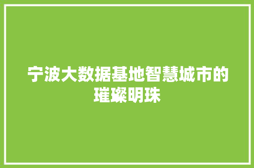 宁波大数据基地智慧城市的璀璨明珠  第1张