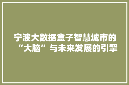 宁波大数据盒子智慧城市的“大脑”与未来发展的引擎  第1张